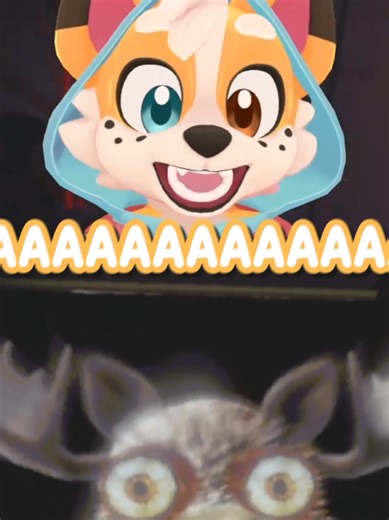 Corgi on TikTok