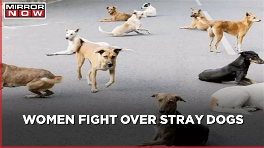 Noida: Two women fight over feeding stray dogs in a locality