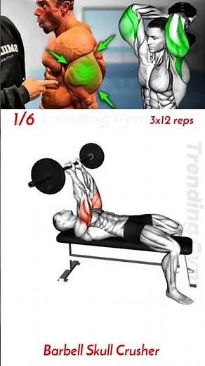 Build HUGE Arms Fast With These Triceps Exercises!