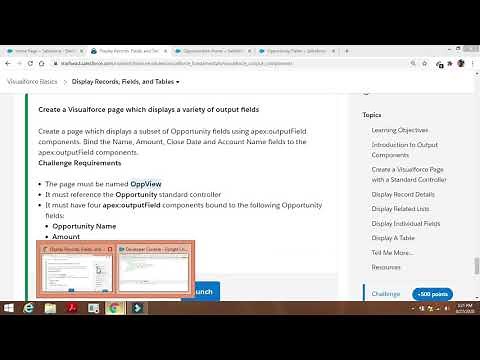Create a Visualforce page which displays a variety of output fields