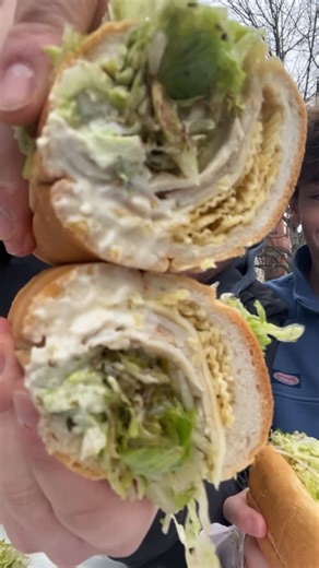 Sandwich Saturday on Instagram: "🚨🚨SANDWICH SATURDAY🚨🚨 🏬 Compliments Only (@complimentsonlysubs ) 📍DuPont Circle, Washington, D.C. 🥪 Crunchy Boi/Teamster FOLKS…first off a happy holidays to you and yours from your sandwich loving food page! Today, it was a special sandwich Saturday since we were joined by my brother Christian ( @chr13213 ) and we made sure to hit a top notch spot in Washington, D.C. like @complimentsonlysubs and needless to say we had A LOT of compliments to share! I’ll s