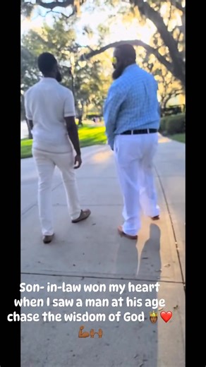 Quarry Woods on Reels