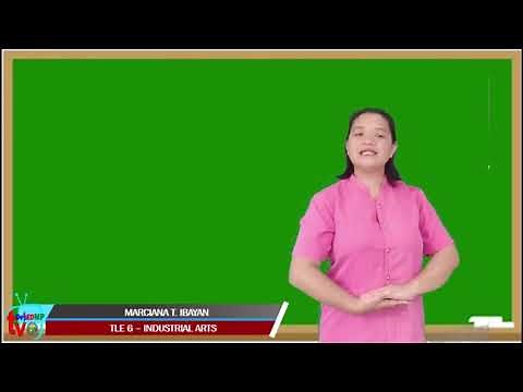 MP TLE-Industrial Arts 6 Q4 W4 Constructing a Project Plan Marciana T. Ibayan