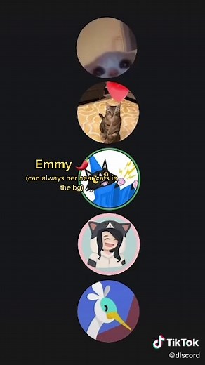 Custom Discord Ringtone Singing with Server Homies