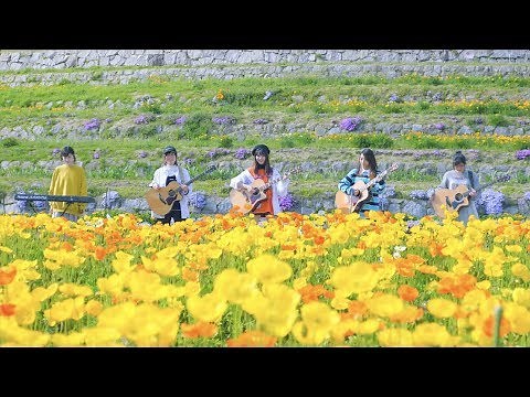 アゲイン / WANIMA【歌詞付】TVドラマ「メゾン・ド・ポリス」主題歌｜Cover｜MV｜PV｜FULL｜ワニマ｜メゾポリ