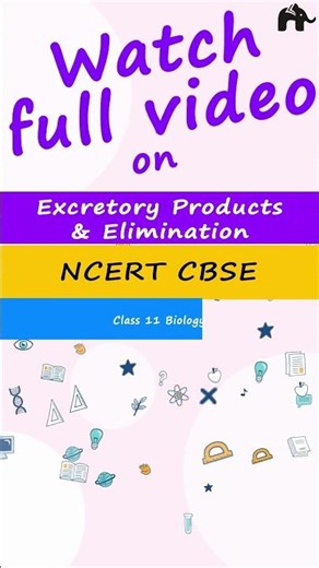 Human Excretory System with Roshni Mam | Class 11 Biology free videos | Best explanation + animation