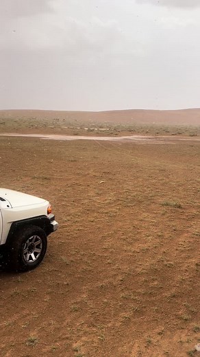 #بداوه_البل_الذود_نفود_رمحه_الحمى#اكسبلور #ترند_تيك_توك #تصويري #نجدالعذيه