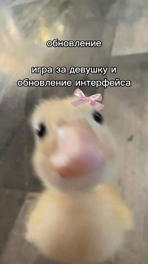 Обновление игры School Game: Новые возможности и NPC