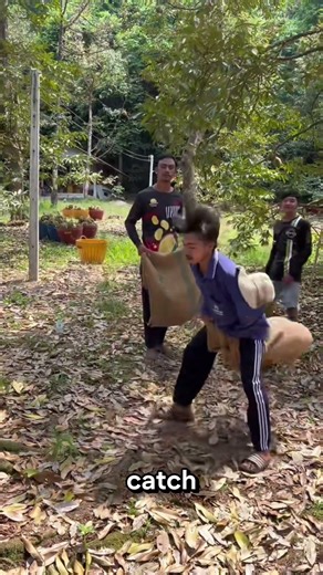 🟢🌩️ Why This Fruit Can Kill You If You Miss the Catch!#explorepage#viral#explain#explorer#trending