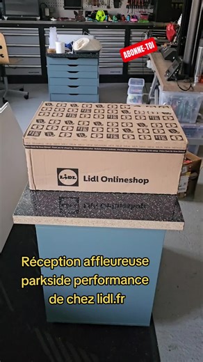 Réception du 2ème colis Lidl avec l'affleureuse Parkside