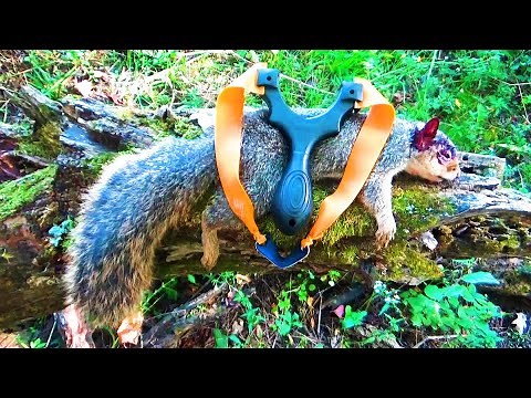 Squirrel Hunting with Slingshot