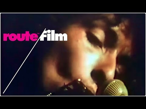 Bob Dylan Harmonica Solo