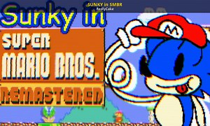 SUNKY in SMBR Mod for Super Mario Bros. Remastered [Unofficial] | SMB1R Mods