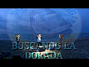 BuScAnDO la DORaDA, QUE PASoo ???, SURFCASTING GRANADA, pesca...