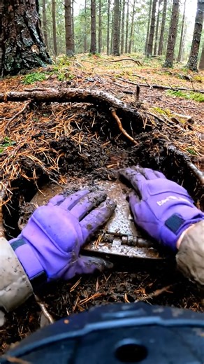 صندوق ذخيرة مدفون تحت الجذور… وقاع مزدوج يخفي كنز!