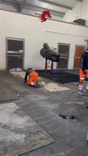 Thank you to Aiden and his team at 𝗤𝘂𝗮𝘁𝘁𝗿𝗼 𝗣𝗿𝗼𝗱𝘂𝗰𝘁𝘀 for their quality rubber matting, a trusted choice that keeps our stallions safe in the collection area. We appreciate craftsmanship that stands the test of time and supports the work we do every day. Quattro Products Ltd | Stallion AI Services