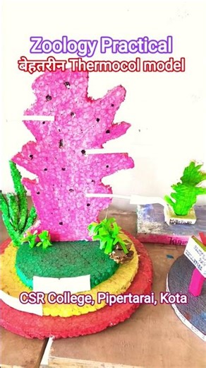 Zoology Practical: बेहतरीन Thermocol model: CSR College Pipertarai, Kota Bilaspur CG