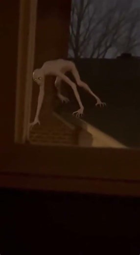 There is something on my neighbor's roof... 🏠🕸️