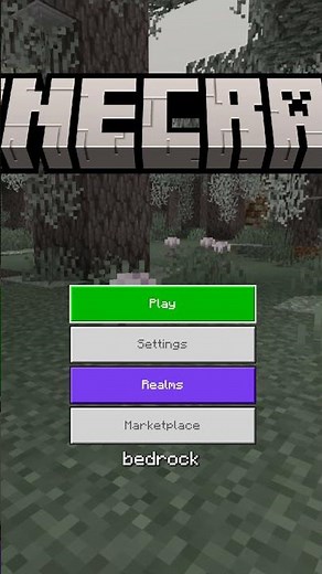 How to join the 1.21.6 Minecraft Earth SMP!