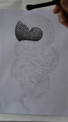 Hyper Realistic Snake Sketch in 60 Sec! 🐍 #shorts.​