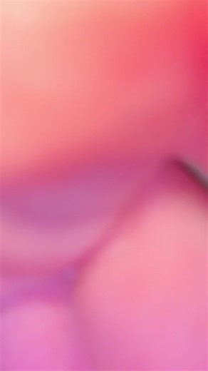 denisdid12 (@denisdid12)’s videos with original sound - denisdid12