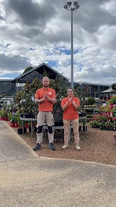 4.4K views · 22 reactions | Dancing through Flower Power as our winter clearance continues! Shop 20-50% off all plants, pots, homewares and home fragrances, plus 20% off a range of furniture in-store and online! | Flower Power | Facebook