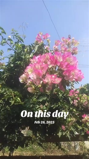 #onthisday