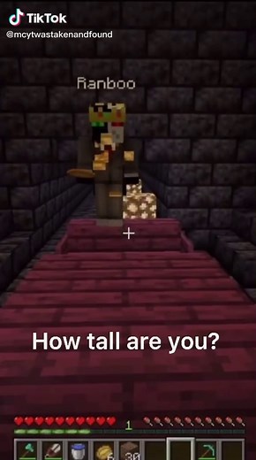 it’s only when he stood next to Tommy I realised how tall he was #tommyinnit #ranboo #fypツ #fyp #xyzabc #beeduo #tubbo #benchtrio