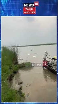 ব্ৰহ্মপুত্ৰত ডুব গ’ল সামগ্ৰীভৰ্তি ভুটভুটি নাও | Barpeta Boat Capsize News