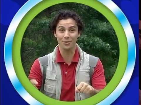 All About: Dinosours