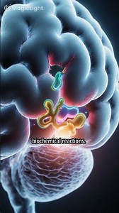 Delayed Effects of Psychiatric Medications: Brain Rewiring #MentalHealth #BrainScience #Medication