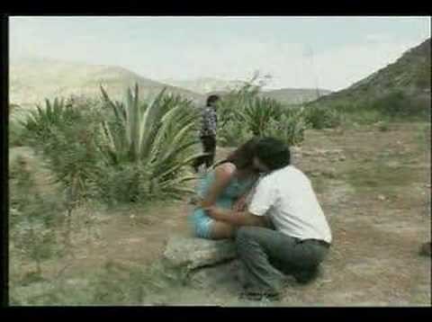 Grupo nectar - Mujer infiel - www.perucumbia.com.pe