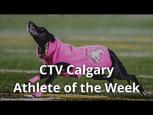 Sailor the Touchdown Dog is CTV Calgary's Athlete of the Week