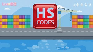 海关商品编码 HS CODE 你真的搞懂了吗？