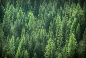 Mead Lumber of Salina | Mead Lumber