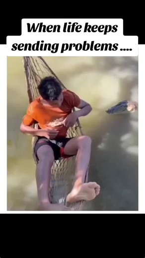 Dealing with Everyday Life Problems