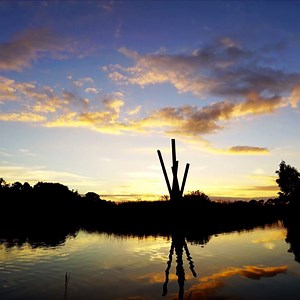 15K views · 153 reactions | Four beautiful seasons, one magical garden  Maggie Beer and friends celebrate the 90th anniversary of Victoria’s much-loved garden, Cruden Farm. Watch Inside Dame Elisabeth's Garden, tonight at 8.30pm on Foxtel's Lifestyle  | LifeStyle | Facebook