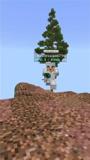 I fought minecraft's best player, then they started flying....