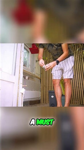 Budgie Diet Essential Foods for Happy & Healthy Birds