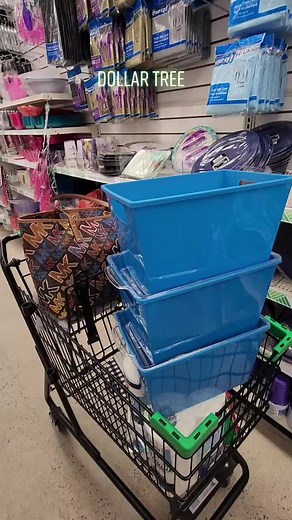 Dollar Tree Storage Bins Organization Hack