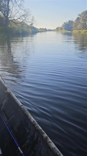 Kevin Jones on Reels