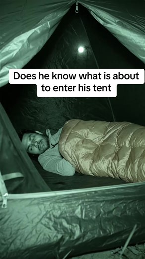 Camping surprise #creatorsearchinsights #camping#campingsurprise