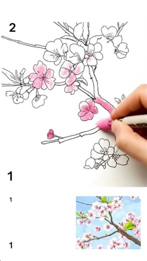 Drawing of a Cherry Blossom