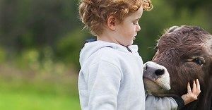 ERDE – so that used films can become raw materials!