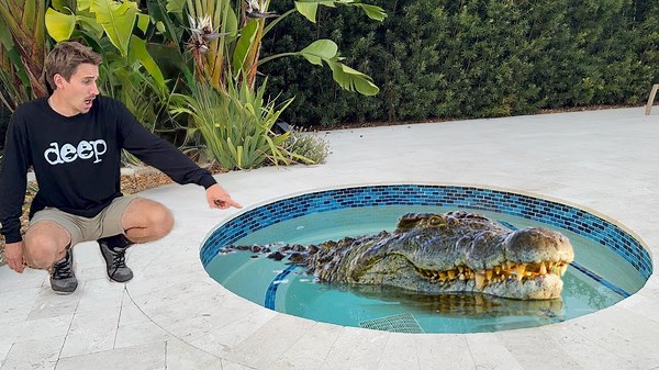 Trapping the pool monsters! 🐊