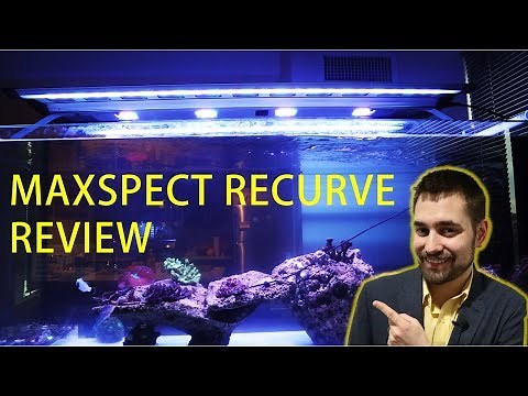 😎 Maxspect Recurve Review and Unboxing (Honest Review)