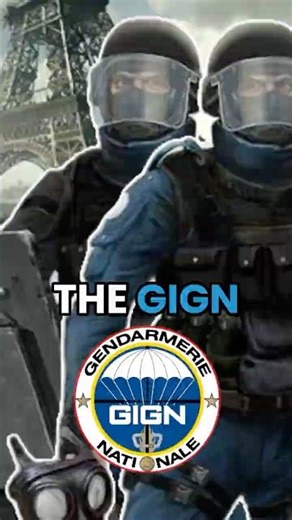The GIGN #modernwarfare