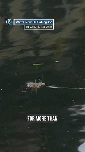 732K views · 7.6K reactions | The legendary Peter Hayes shares his...