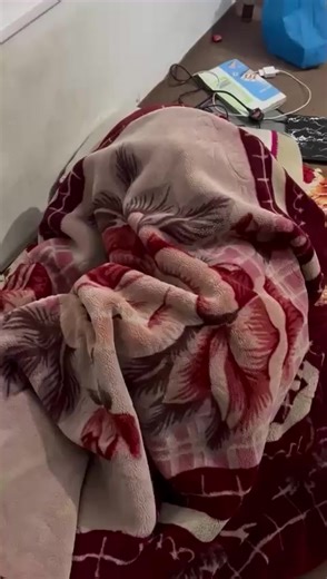 Funny Tiger Moments That Will Make You Laugh