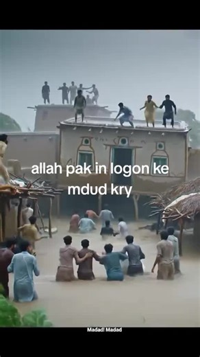 bajjo_official5 on TikTok